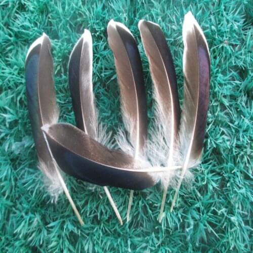 Wholesale 20 PCS/a lot of beautiful nature duck feathers 4-6 inches / 10 to 15 cm clothing hat DIY decoration
