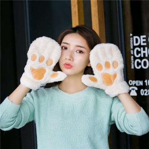Cats paw cute plush thickened mittens winter female fleece full finger plus velvet Korean version of furry Japanese soft girl