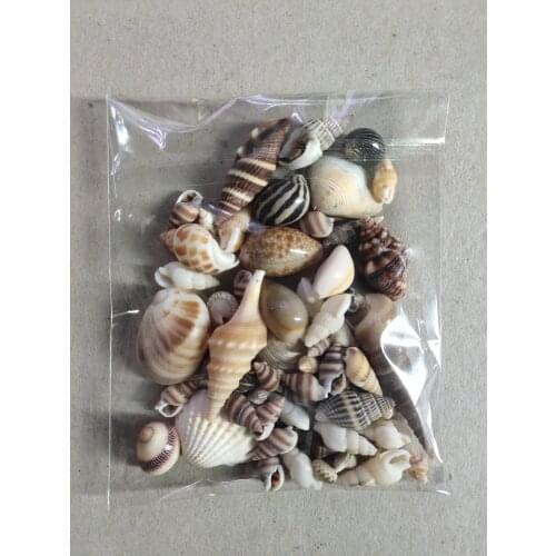 20/30/50 pcs 1 Bag Lot Of Funny Mixed Sea Shells Shell Craft Aquarium Nautical Decor Ornaments natural mini conch home decoratio
