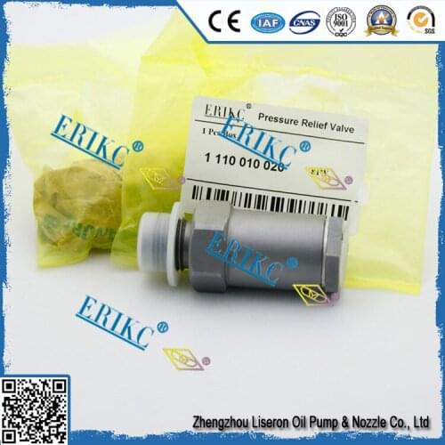 1110010009 1110010010 1110010011 1110010012 1110010013 1110010014 Diesel Injector Valve Assembly 1110010015 1110010016