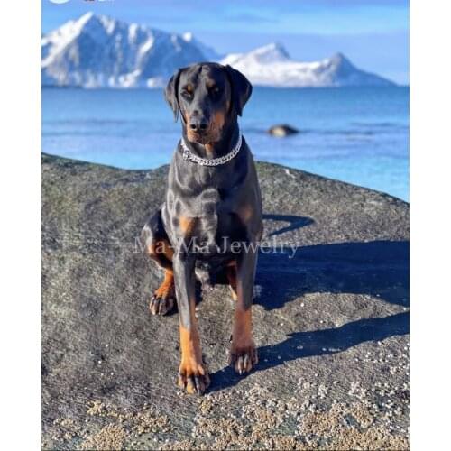 15/17/19MM Gold Stainless Steel Dog Chain Pet Dog Collars Leash Training Chain for Large Dogs Pitbully Bulldog Pet Necklace