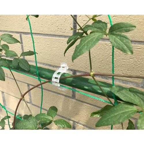 1000PCS Plastic Trellis Tomato Clips Supports Connects Plants Vines Trellis Twine Cages Veggie Garden Reusable Plant Clip