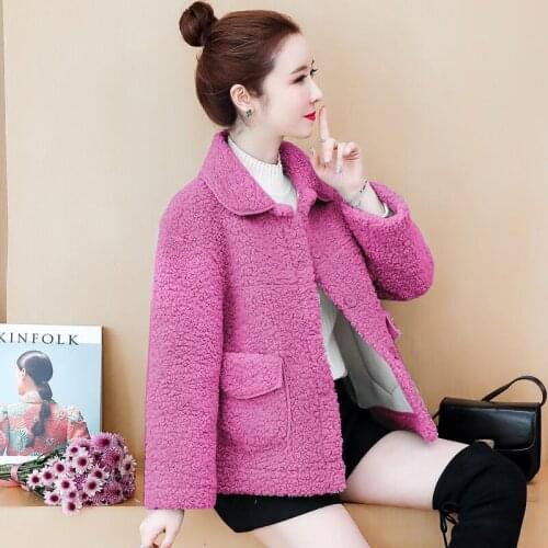 Elegant Women Faux Fur Coat 2021 New Autumn Soft Warm Lapel Button Pink Jacket Female Plush Pocket Casual Short Teddy Outwear