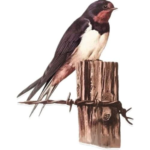 LLY-1216 Coolest Swallow Car Sticker on The Tree Stump PVC Personalized Motorcycle Cars Accessories Decoration Waterproof Decal