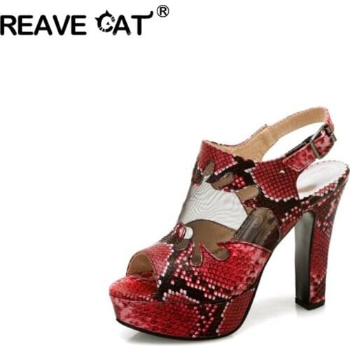 REAVE CAT Women New 2021 Sexy Pumps Snake Cutout Lace Party Buckle Peep-toe High heel 11.5cm Platform Plus size 34-50 A3962
