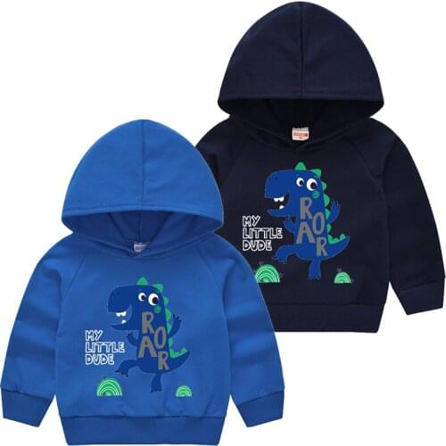 Hoodies For Girls Cotton Fall Autumn Boys Sweatshirts Cute Cartoon Childrens Tops Outfit Kids Clothes