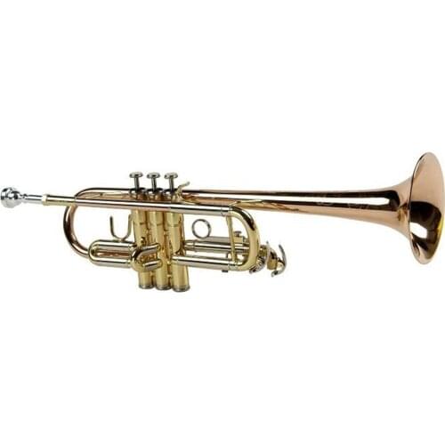 Popular grade phosphor copper body gold lacquer Tone C trumpet