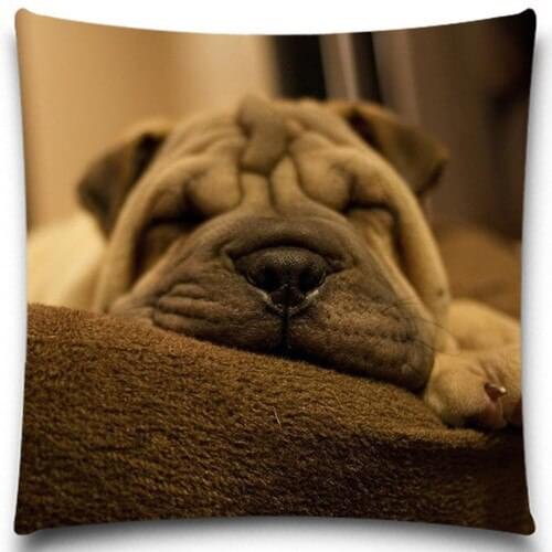 Crawling of the SharPei and bulldog Decorative Throw Pillow Case in Square Size for Home Sofa Car
