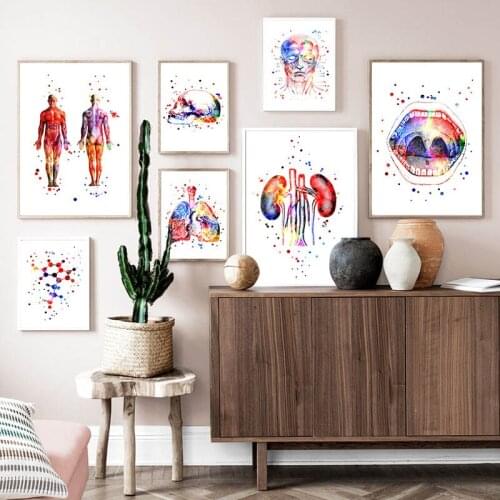 Watercolor Human Anatomy Artwork Medical Wall Picture Organ Skeleton Structure Poster Nordic Canvas Print Education Painting