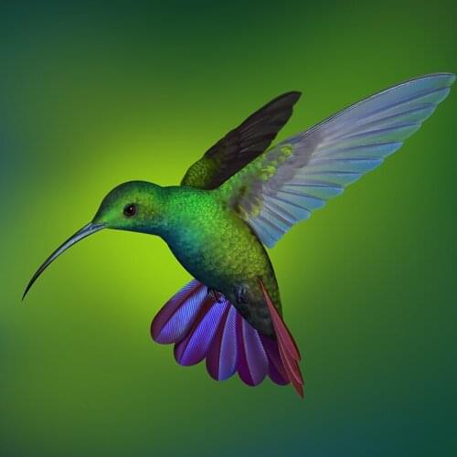 5D Diamond Painting "Green Humming Bird" Full Square Diamond Mosaic Scenic Diamond Embroidery Cross Stitch Decorate Gift GH374