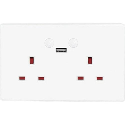 Tuya App Remote Control Double 2 Way Gang UK Wifi Smart Wall Socket Switch With USB Ports