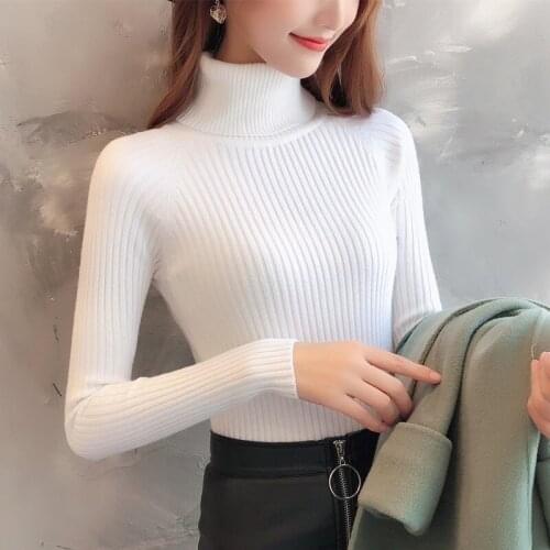 Autumn Turtleneck Sweater Female 2021 Winter Cashmere Knitted Women Sweater And Pullover Female Tricot Jersey Jumper Pull Femme