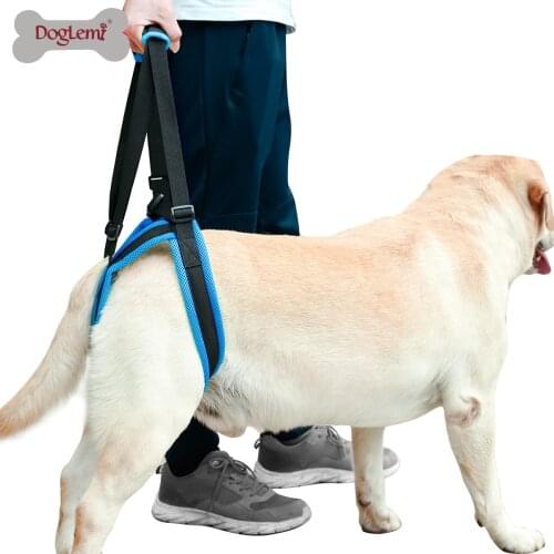 Dog Lift Harness for Back Legs Pet Support Sling Help Weak Legs Stand Up