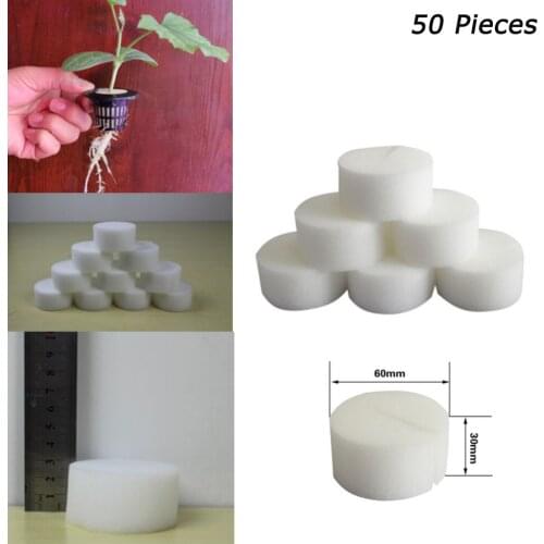50x Seed Nursery Sponges Home Garden Cultivation Tools Seedlings Germination