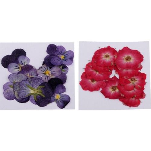 22 Piece Pressed Natural Dried Flowers Real Flower Rose Violet for Scrapbooking