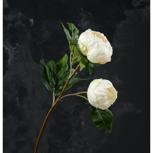 Искусственные пионы NuoNuoWell China At AliExpress