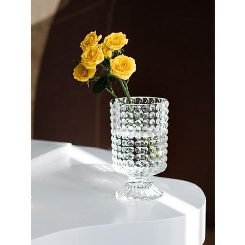 Simple Transparent Glass Goblet Vase Small Modern Living Room Dining Table Hydroponic Flower Container Crystal