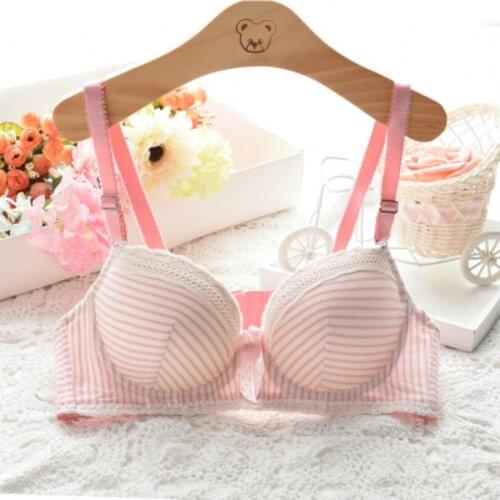 Women Sexy Brassiere Women Bras Push Up Sexy Girls Push Up Bras Underwear Gather Sexy Super Push Up Bra Gather For Girls Gather