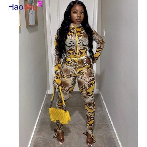 HAOOHU Snake Print Fitness Sports Wear Matching Set Women Casual Fashion 2 Piece Outfits Zipper Long Sleeve Top And Pants Sets