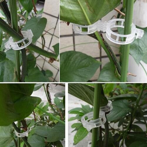 50 Pcs Tomato Clips Trellis Garden Plant Flower Vegetable Binder Twine Plant Support Greenhouse Clip Supplies