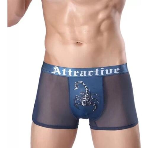 2021 3pcs Hot Sale Printed Mens Sexy Boxer Briefs Mesh Boxer Shorts Exotic Costume Dropshipping 10 Colors L-XXXL