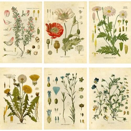 Fashion Wild Plant Poster Botanical Flower Study Living Room Canvas Painting Peony Picture Aesthetic Room Decor Home Decoration