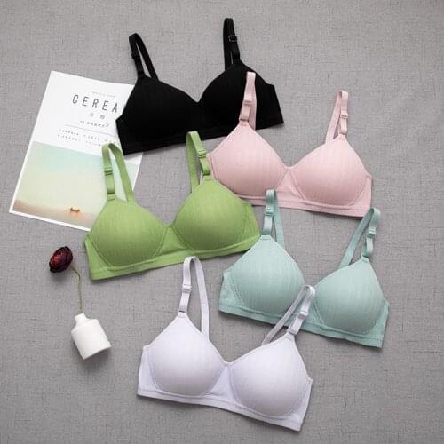 New Summer Thin Model Cup Girl Underwear Comfortable No Steel Ring Pure Cotton Sexy Small Chest Student Adjustment Bra