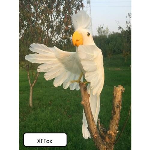 New real life white wings parrot model foam&feather simulation hello cockatoo bird gift about 30x45cm xf0259