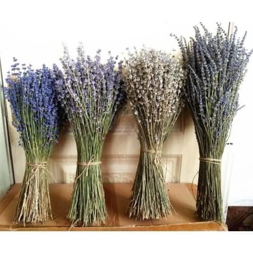 DRIED NATURAL LAVENDER BUNCH DRIED FLOWERS WEDDING FAVOURS OR DECORATIONS Dried Lavender Flower Bouquet Lavender Buds