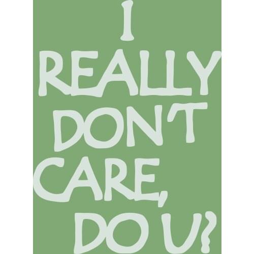 90*150cm i really dont care dou flag