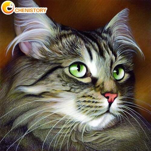 Chenistory Diy Framed Painting By Numbers For Adults Cute Cat Landscape Animal Paint By Number Kits For Home Wall Decors
