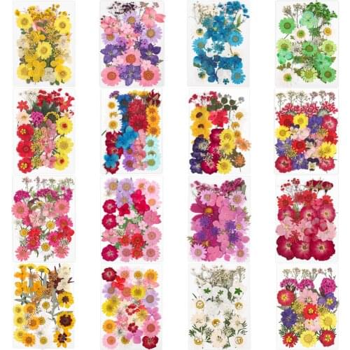 Pressed Small Real Dried Flower Dry Plants For DIY Candle Epoxy Resin Pendant Necklace Jewelry Making Craft Accessories Supplies