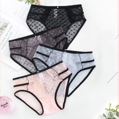 Large Size Womens Underwear Sexy Erotic Thin Transparent Mesh Lace Briefs Quick-drying Plus Size Panties Womens 6XL