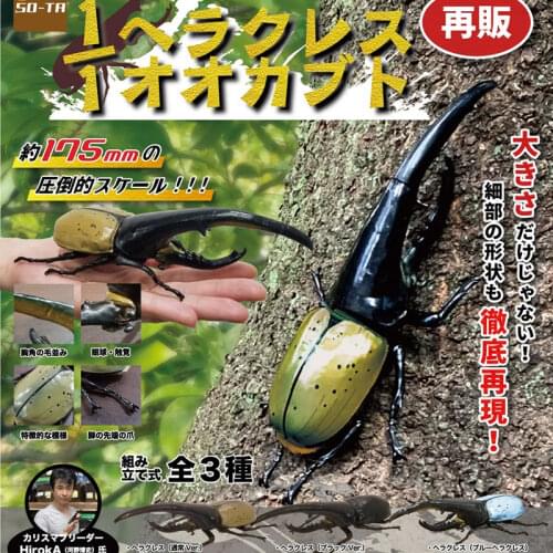 Japan SO-TA Gashapon Capsule Toys Insect Ant Model Spider Table Ornaments Decoration Simulation BEETLE Model