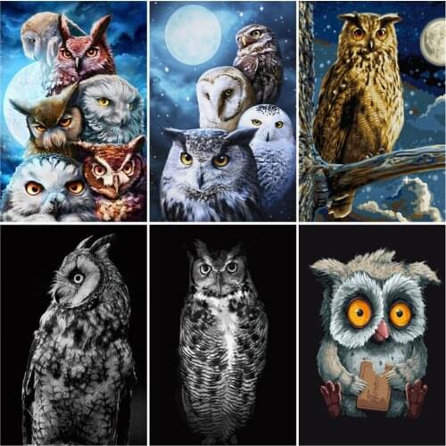 5D DIY Diamond painting Animals Owl Cross Stitch Full Square/Round of Rhinestone Diamond Mosaic Diamond Embroidery