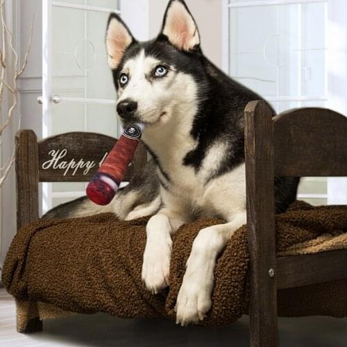 ETONWEAG Products For Dogs