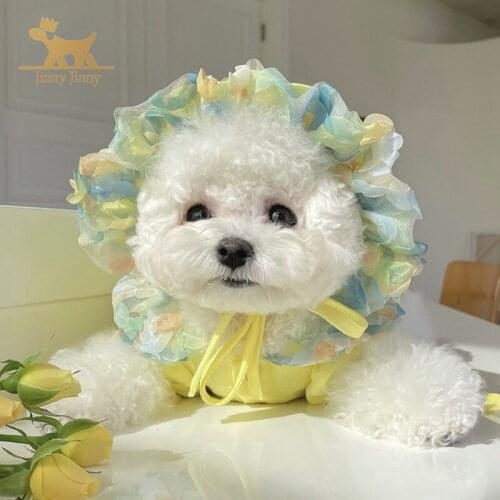 Cuet Cat Clothes，Cat Accessories in Elegant Style，dog clothes for small dogs - Dropshipping Center #Jinny Jinny-JJ44