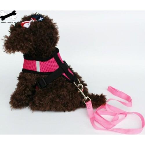 Cat Dog Adjustable Harness Vest Walking Lead Leash For Puppy Dogs Collar Polyester Mesh Harness For Small Medium Dog Cat Pet
