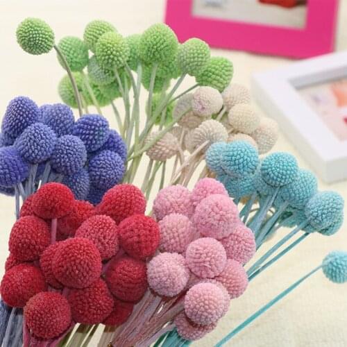 40pcs Dried flower Eternal Gold Ball Valentines Day Gift DIY Billy Balls wedding hydrangea san valentin pink party home