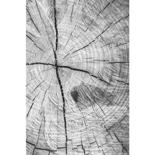 New Fashion Living Room Bedroom Modern Rugs Wood Log And Stone Pattern Digital Printed Carpet 2021 Child Parents Soft Non-Slip