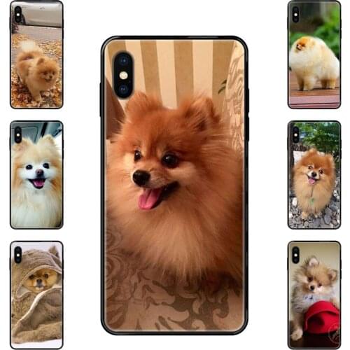For Galaxy Note 4 8 9 10 20 Plus Pro J6 J7 J8 M30s M80s Ultra 2016 2017 2018 Pomeranian Puppy Dog 11 Black Soft TPU New Style