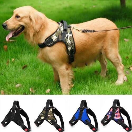 LNRRABC Collars, Harnesses And Leashes