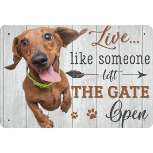 Live Like Someone Left The Gate Open Dachshund Metal Plaque Tin Sign Poster Retro Wall Art Decoration Board for Home Bar