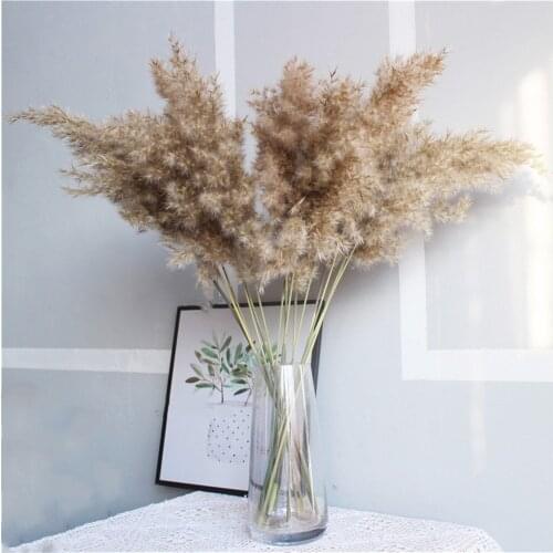 Home Balcony Pampas Grass Dried Decoration Wedding Flowers String Natural Plants Gift Bouquets For Home Christmas Decorations