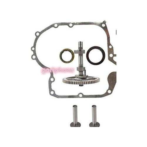Camshaft 793880 Crankcase Gasket Oil Seal 697110 795387 for Briggs&Stratton
