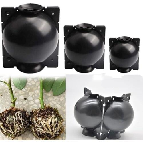 3pcs Grafting Rooting Ball Growing Box Plant Rooting Ball Breeding Case for Garden for Garden Transplantation High-pressure Box