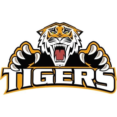 Three Ratels C552 TIGER wall sticker art for bedroom living room Animal stickers car hood sticker laptop decal