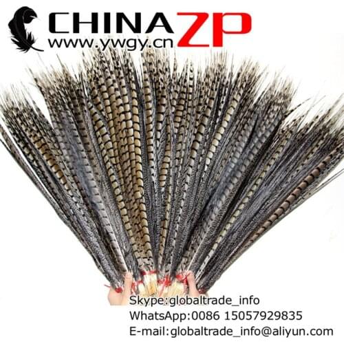 CHINAZP Factory 50pcs/lot 70-80cm(28-32inch) Length Top Quality Natural Lady Amherst Pheasant Tail Feathers