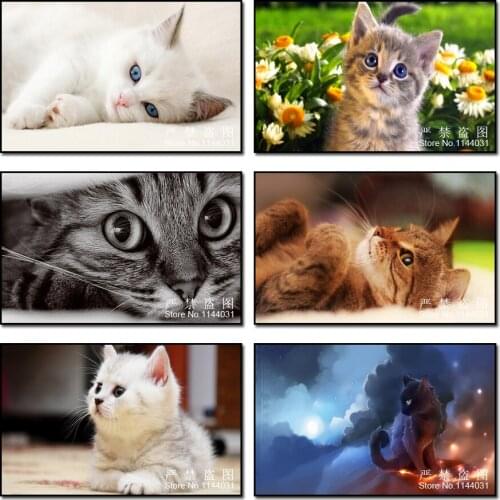 5d Diy Animal Art Needlework Diamond Painting Rhinestone Pasted Diamond Cross Stitch Cute Cat Diamond Mosaic Embroidery