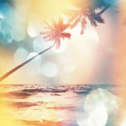 Summer Light Bokeh Sea Tropical Seaside Palm Tree Party Portrait Photography Background Photo Backdrop For Photo Studio Props